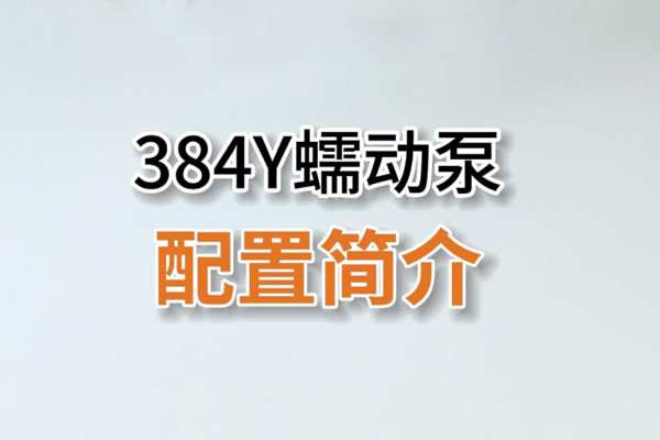 384Y蠕動(dòng)泵產(chǎn)品配置簡介